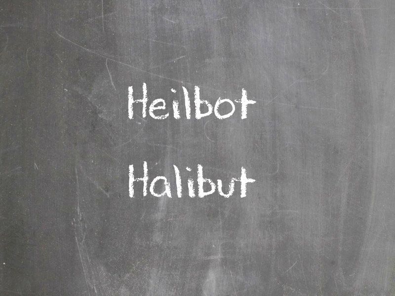 Heilbot